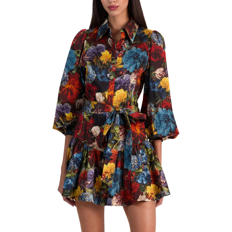 Lily Drop Waist Mini Shirt Dress image number null