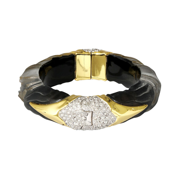 Madera Lucite Hinge Bracelet image number null