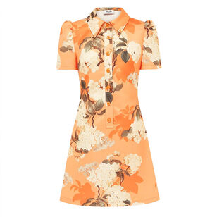 Brooke Short Sleeve Collared Mini Dress