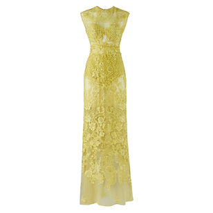 Aika Sleeveless Lace Gown