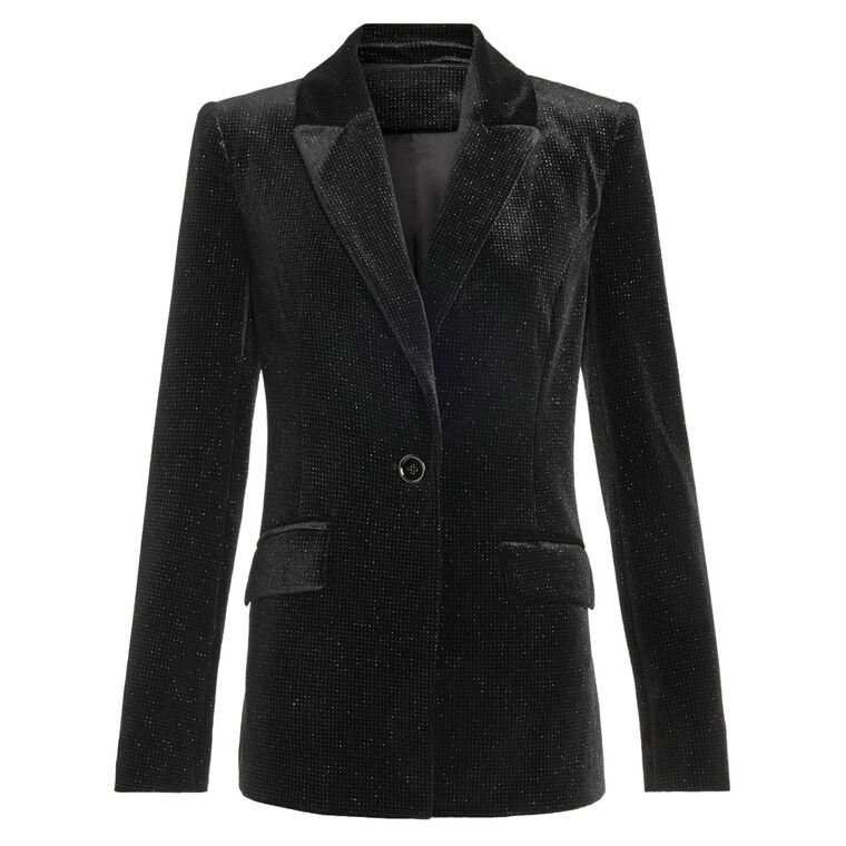Echo Velvet Blazer image number null