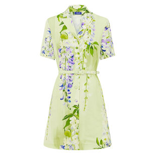 Brigitte Short Sleeve Belted Mini Dress