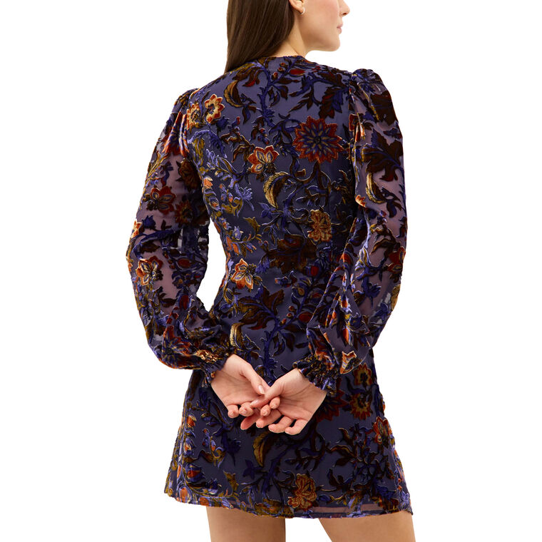 Eliza Long Sleeve Burnout Velvet Mini Dress image number null