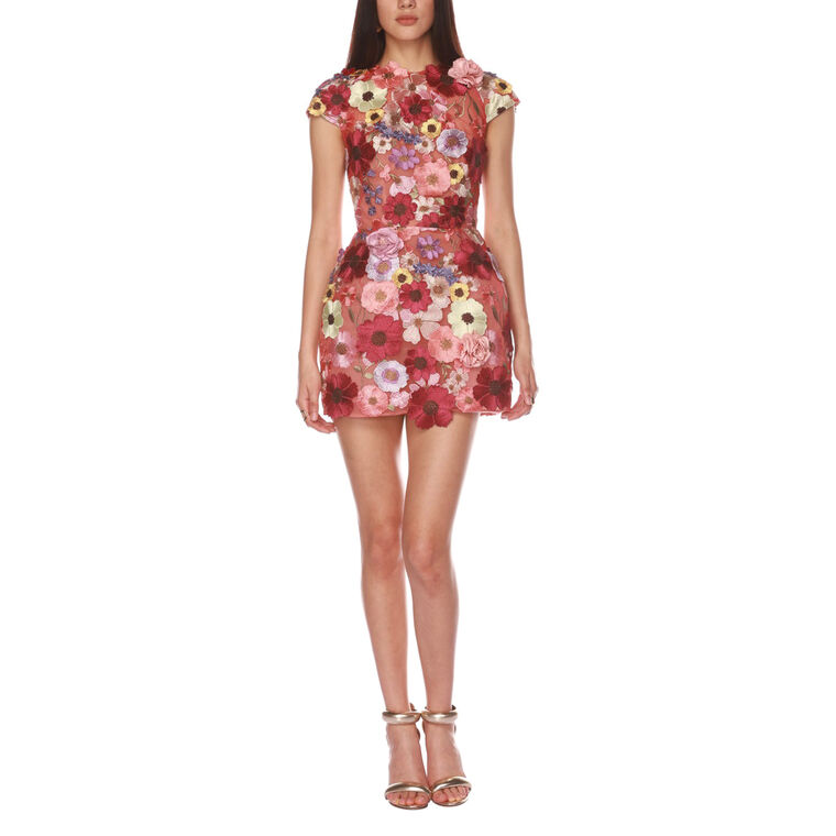 Jasmine Floral Applique Cap Sleeve Mini Dress image number null
