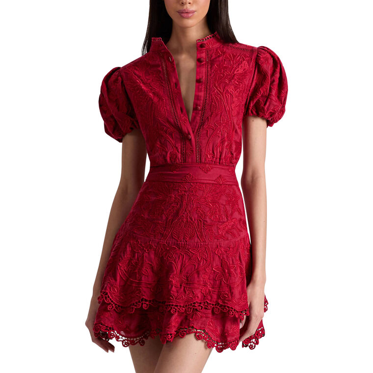 Loryn Embroidered Short Sleeve Mini Shirt Dress image number null