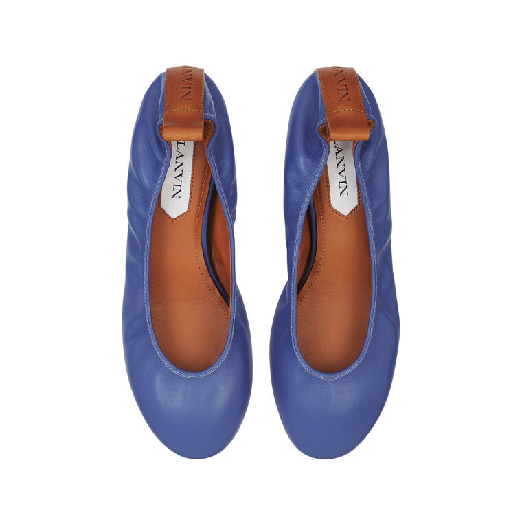 The Leather Ballerina Flat image number null