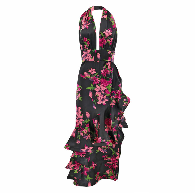 Bronte High-Low Plunge Halter Maxi Dress image number null