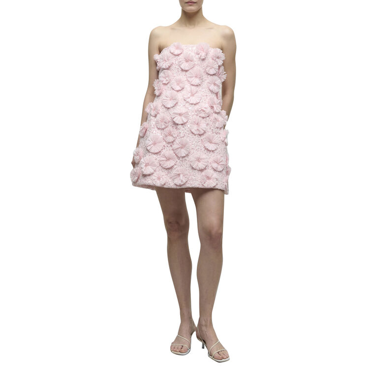 Holland Strapless Floral Raffia Applique Bustier Mini Dress image number null