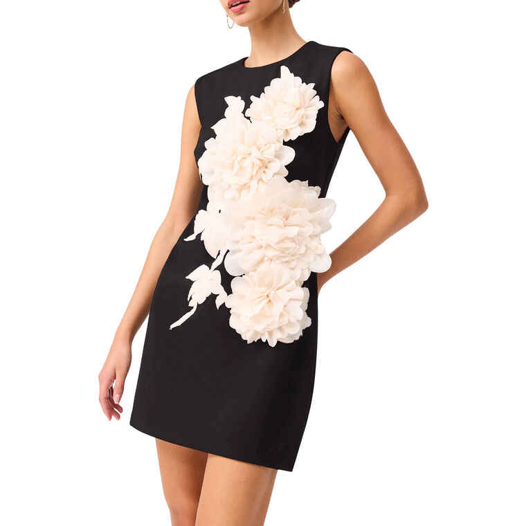 Zahara Sleeveless Shift Mini Dress image number null