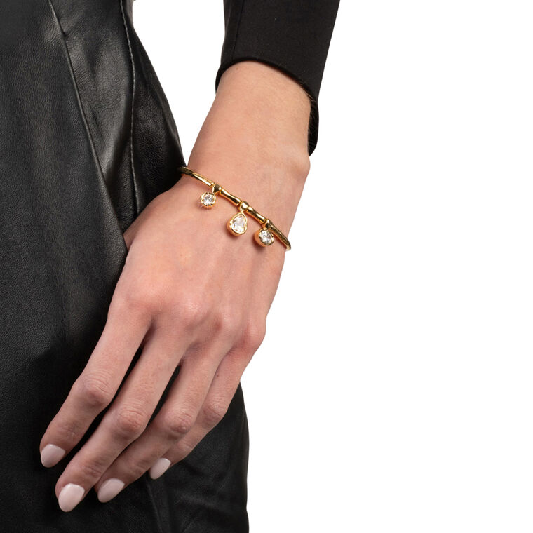 Asterales Charm Bracelet image number null