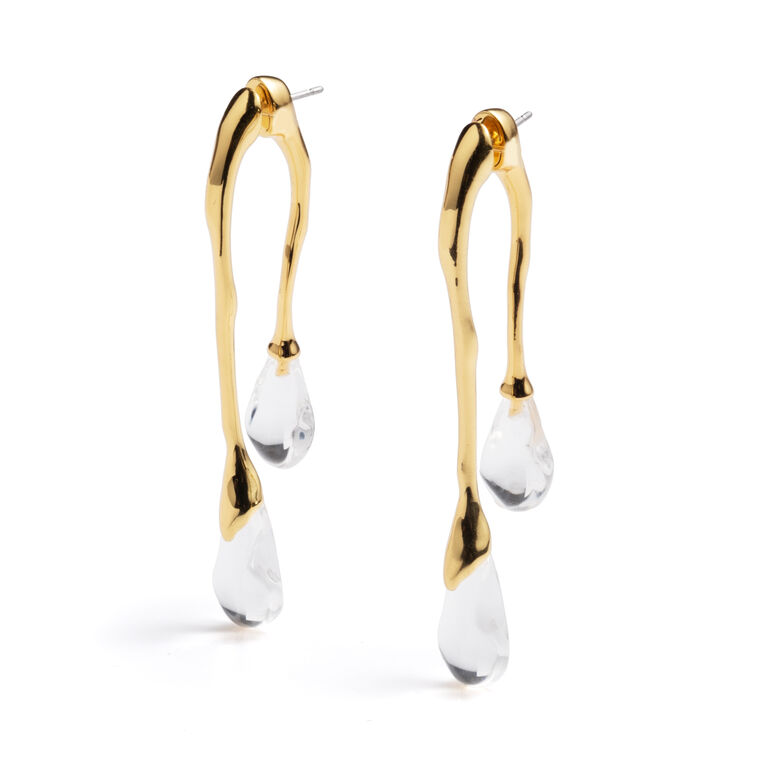Lucite Front Back Double Drop Earring image number null