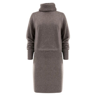 Cassidy Turtleneck Mini Dress