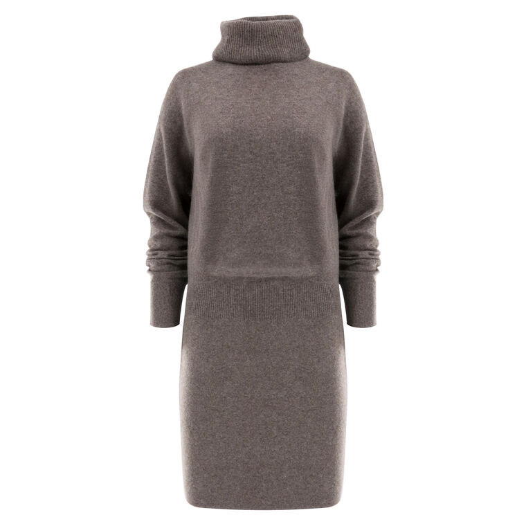 Cassidy Turtleneck Mini Dress image number null