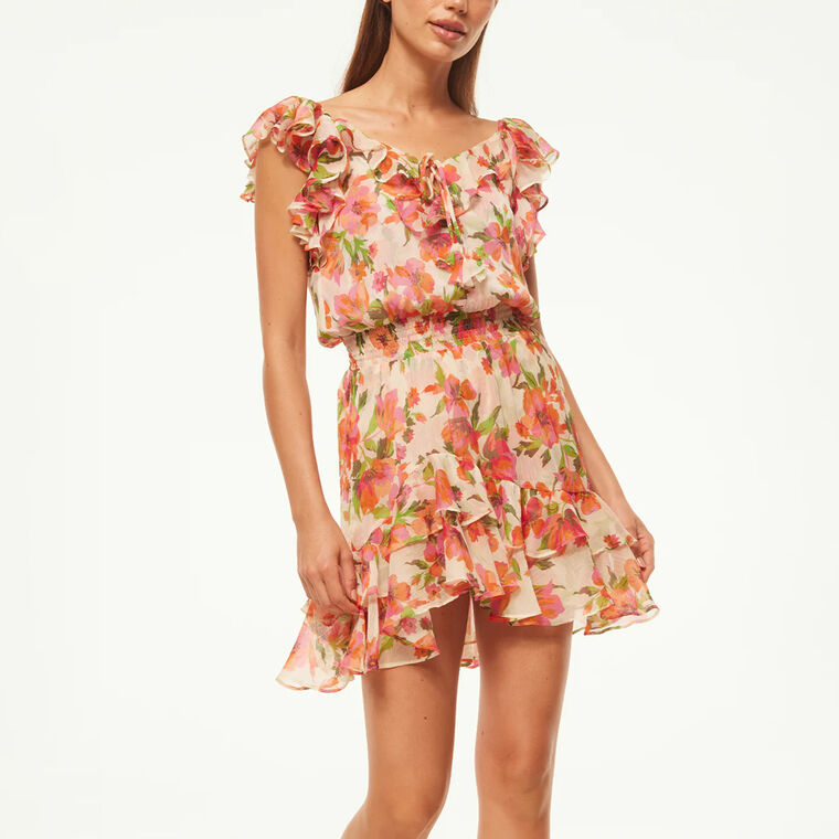 Solmaz Dress image number null