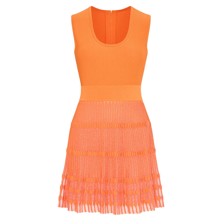 Sheer Knit Sleeveless Fit And Flare Mini Dress image number null