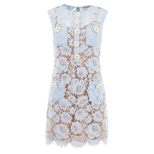 Fine Lace Mini Dress
