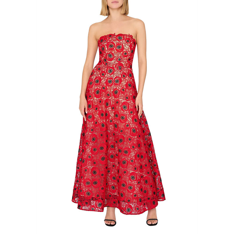 Netty Embroidered Lace Strapless Maxi Dress image number null