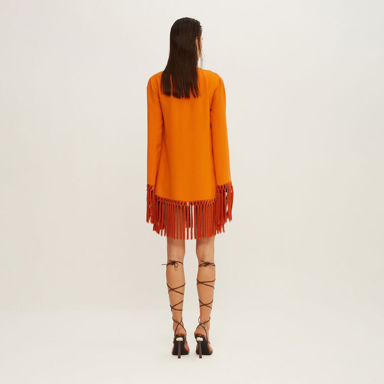Claudia Fringed Dress image number null