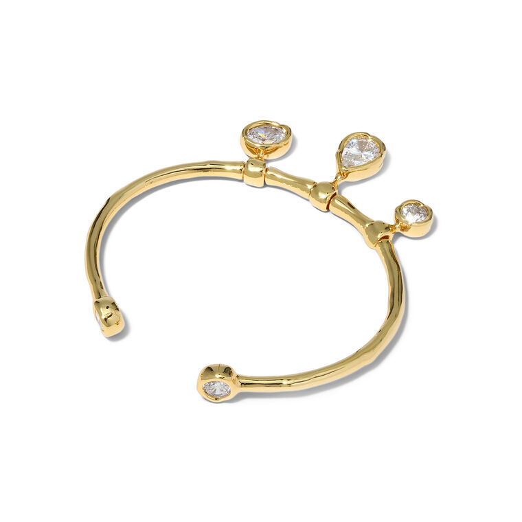 Asterales Charm Bracelet image number null