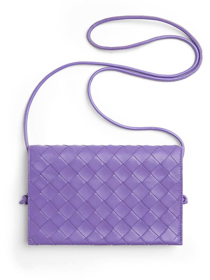 Wallet On Strap Int image number null
