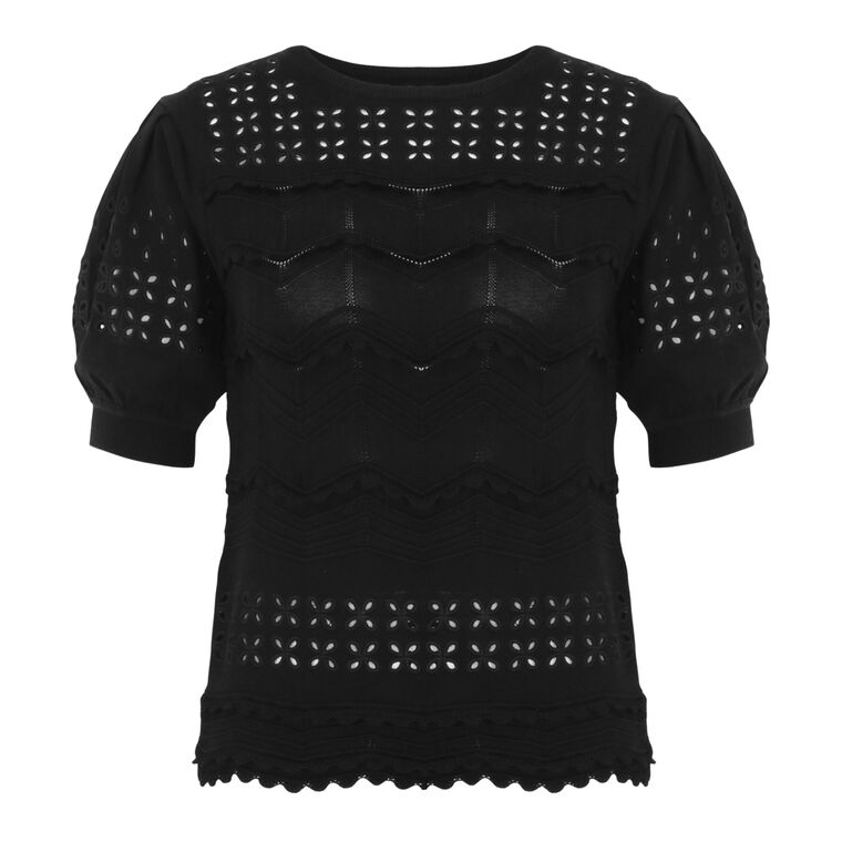 Marcelena Short Sleeve Eyelet Knit Top image number null