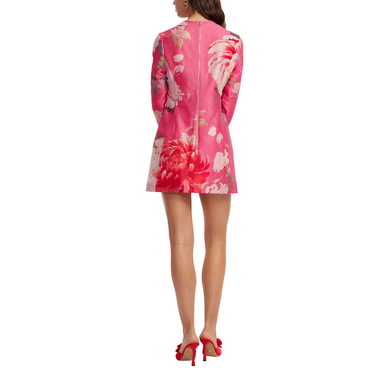 Aliza Long Sleeve Mini Dress image number null