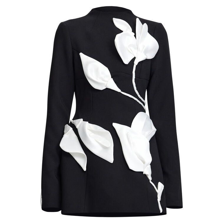 Kadence Long Sleeve Mini Dress With Petal Applique image number null