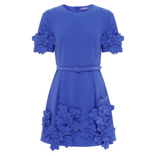 Aurelie Floral Applique Short Sleeve Belted Mini Dress