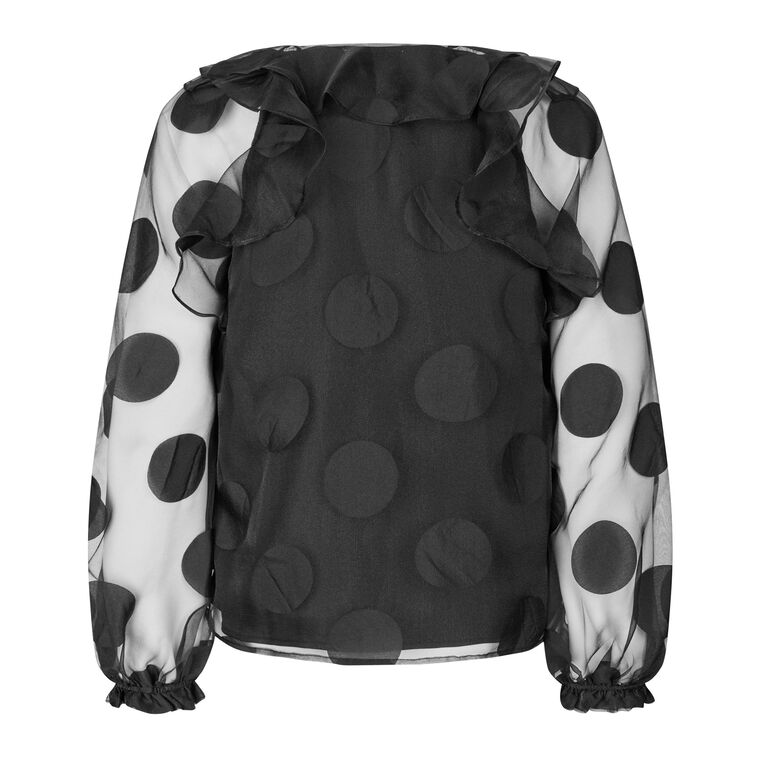 Multi Ruffle Long Sleeve Organza Raglan Top image number null