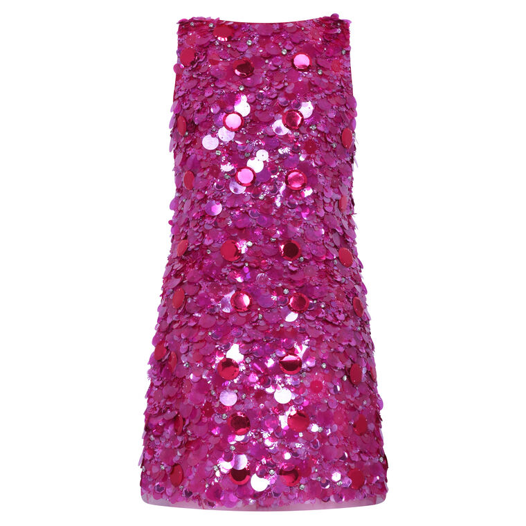 Sequined Embroidery Mini Dress image number null