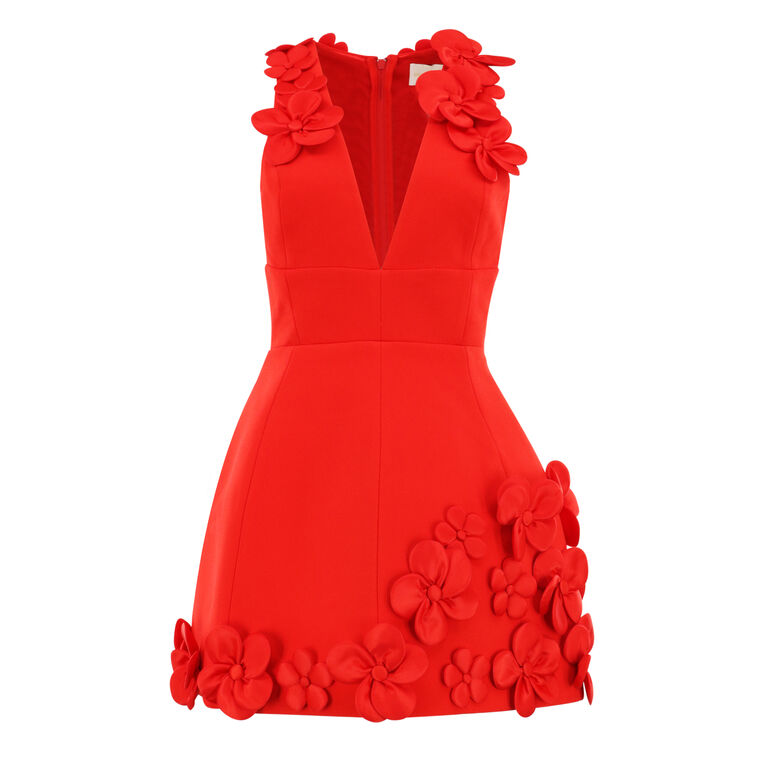 Estelle Sleeveless Floral Applique Mini Dress image number null