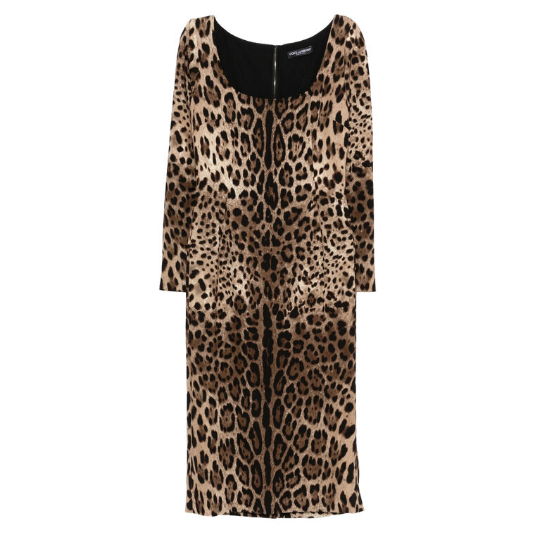 Long Sleeve Leopard-Print Midi Dress image number null