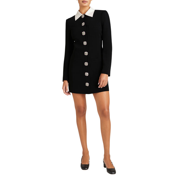 Sheryl Long Sleeve Collared Mini Dress image number null