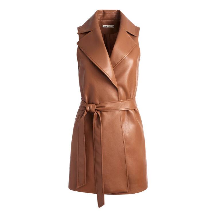 Rozlynn Vegan Leather Belted Dress image number null