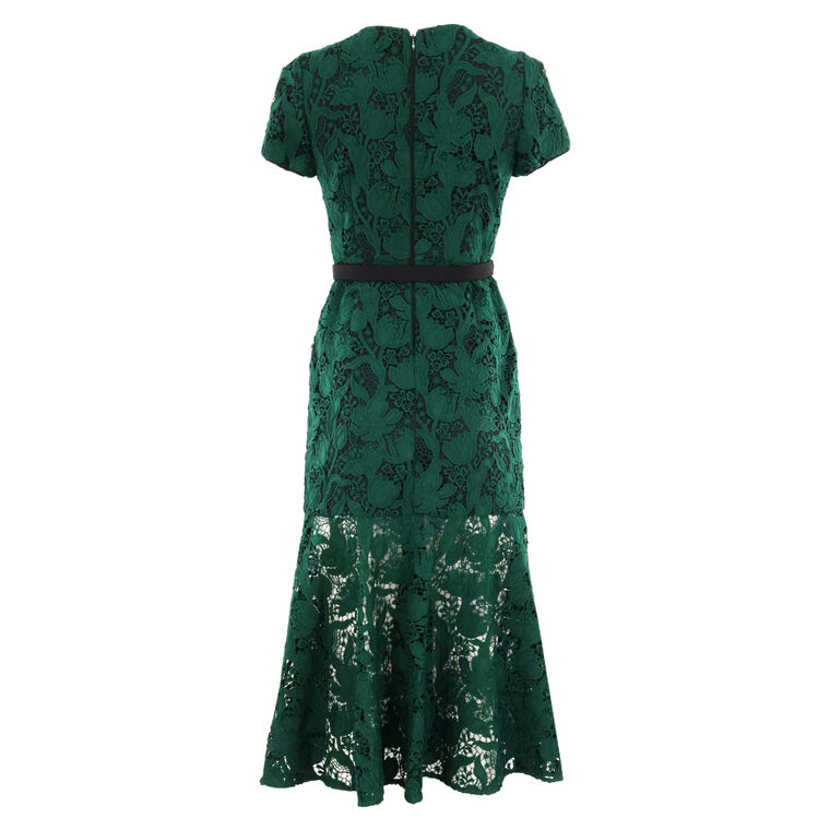 Tahlia Tulip Garden Lace Short Sleeve Belted Midi Dress image number null