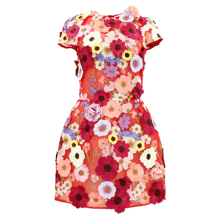 Jasmine Floral Applique Cap Sleeve Mini Dress image number null
