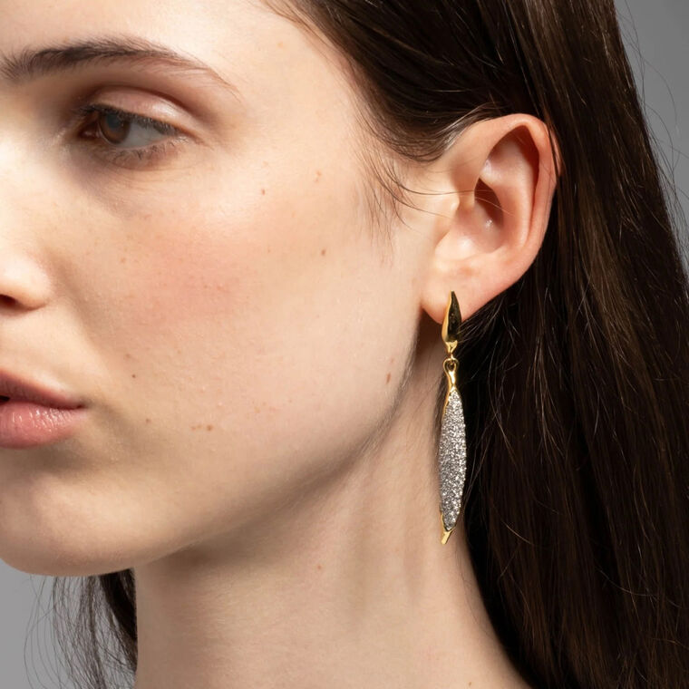 Solanales Crystal Sliver Leverback Earrings image number null