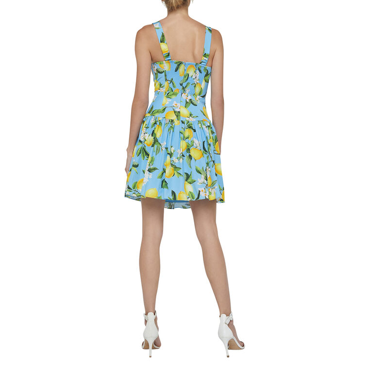 Jai Drop Waist Mini Dress image number null