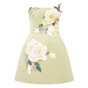 Roselle Embroidered Bustier Mini Dress