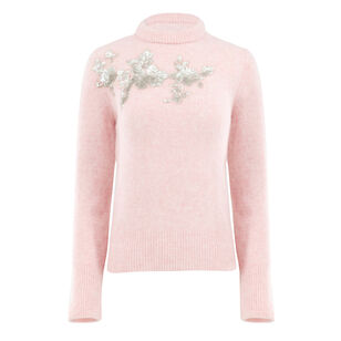 Alpaca Knit Fitted Crew Neck Sweater With Embellishment