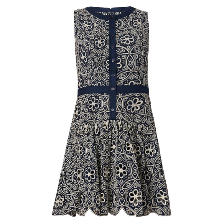 Sierra Sleeveless Embroidered Mini Dress image number null