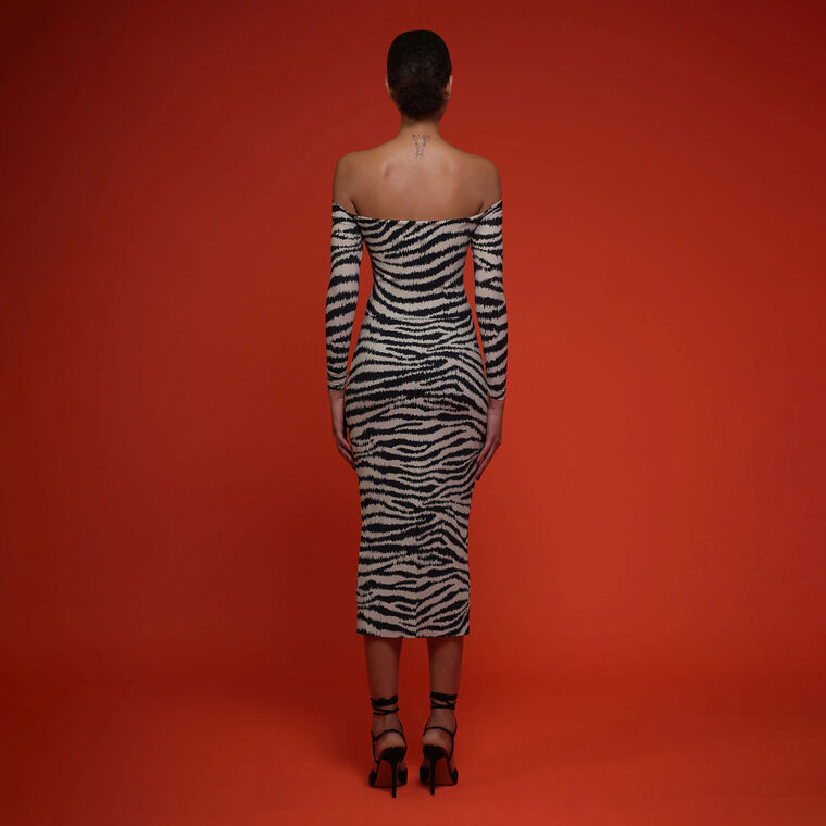 Yu Zebra Print Midi Dress image number null
