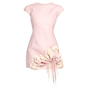 Radburn Mini Dress