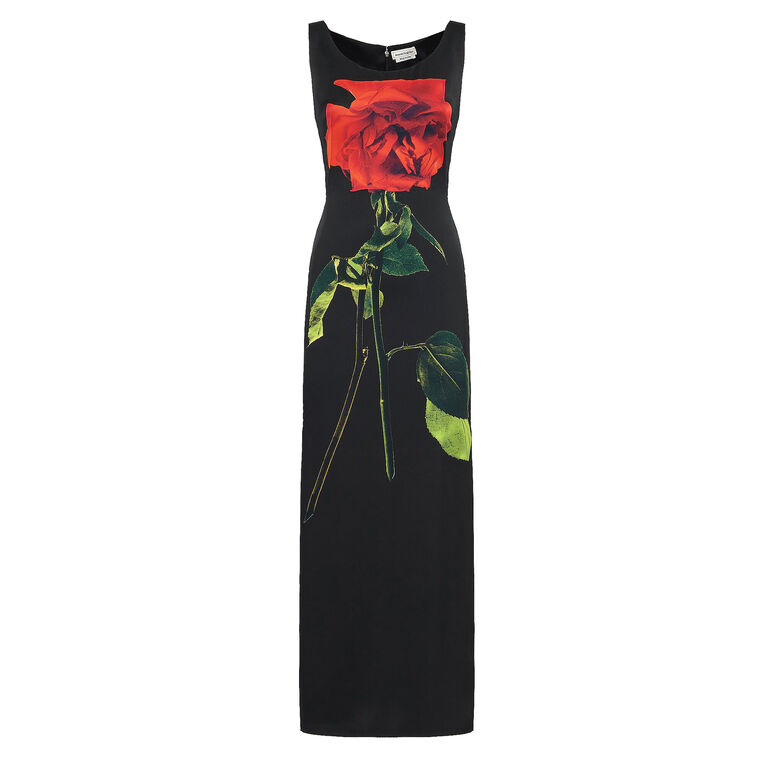 Shadow Rose Pencil Dress image number null