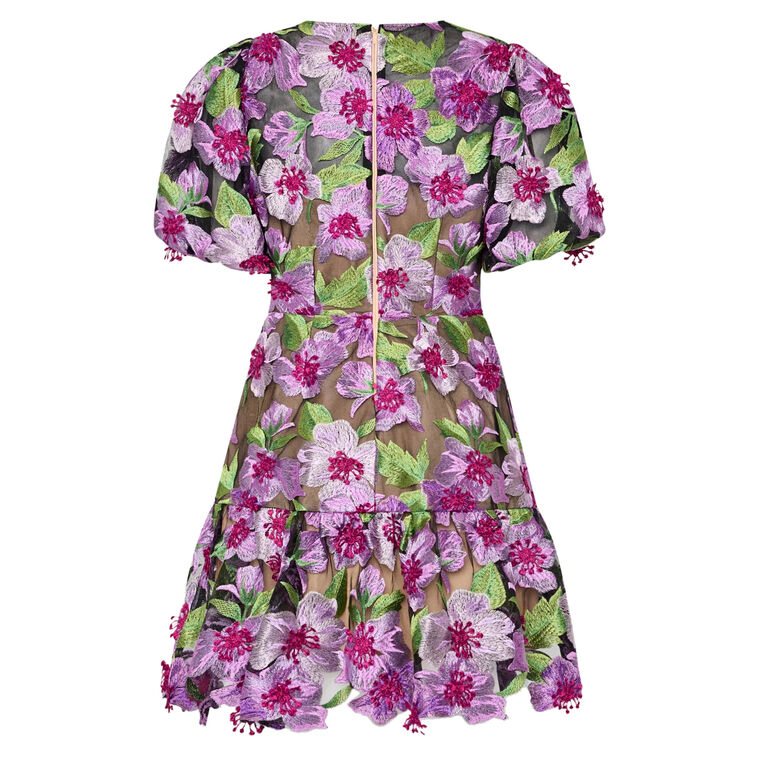 Yasmin Embroidered Short Sleeve Mini Dress image number null