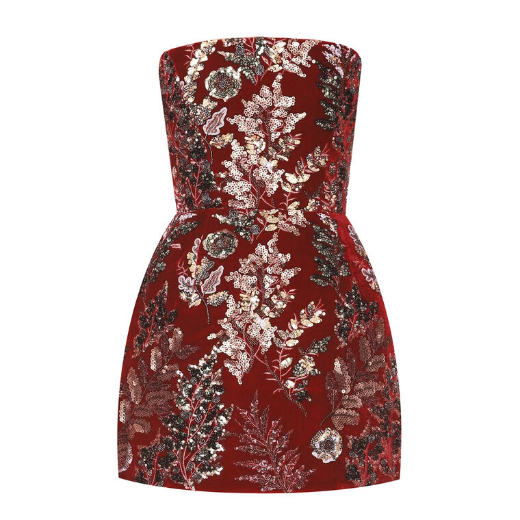 Strapless Velvet Embroidered Mini Dress image number null