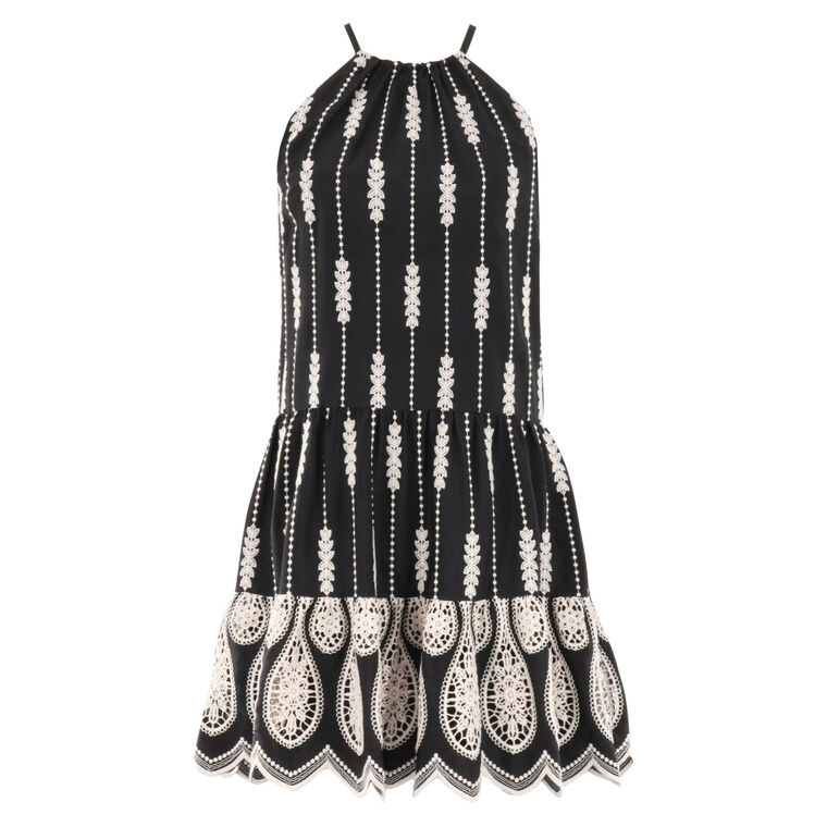 Kaelyn Sleeveless Embroidered High Neck Mini Dress image number null