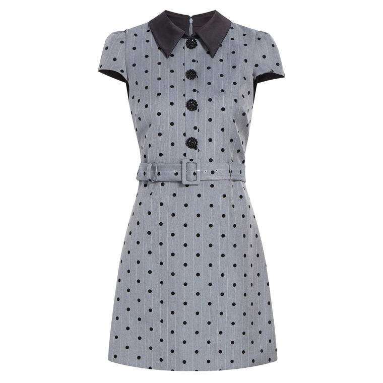 Poppette Contrast Collar Polka Dot Mini Dress image number null