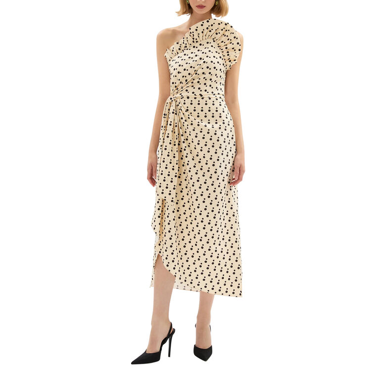 Charlotte Polka Dot Halterneck Midi Dress image number null