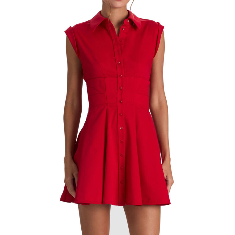 Kim Cap Sleeve Paneled Corset Flared Mini Dress image number null